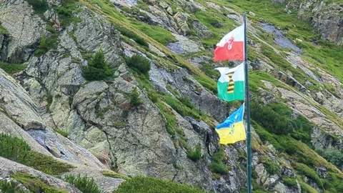 Flagpole in the wind in alpine area with three flags.  Tyrol, Leipzig and Stock Footage 248196968