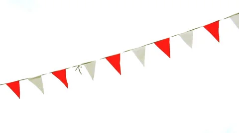 Flags 01 Stock Footage 22675882