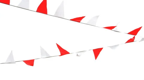 Flags 02 Stock Footage 22675904