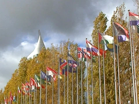 Flags 2 Stock Footage 489848