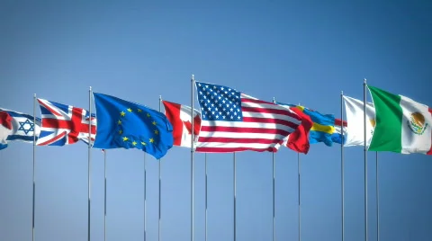 Flags 2 Stock Footage 708659