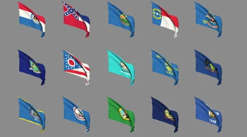 Flags of the 50 US states - Part 4 of 4 Stock Footage 41963242