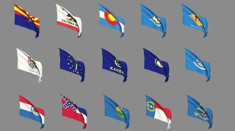 Flags of the 50 US states - Part 2 of 4 Stock Footage 41964014