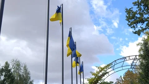 Flags against the sky Stock Footage 317578829