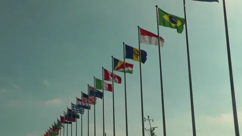 Flags of all nations are flying 動画素材 343392436