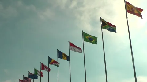 Flags of all nations are flying 動画素材 343392969