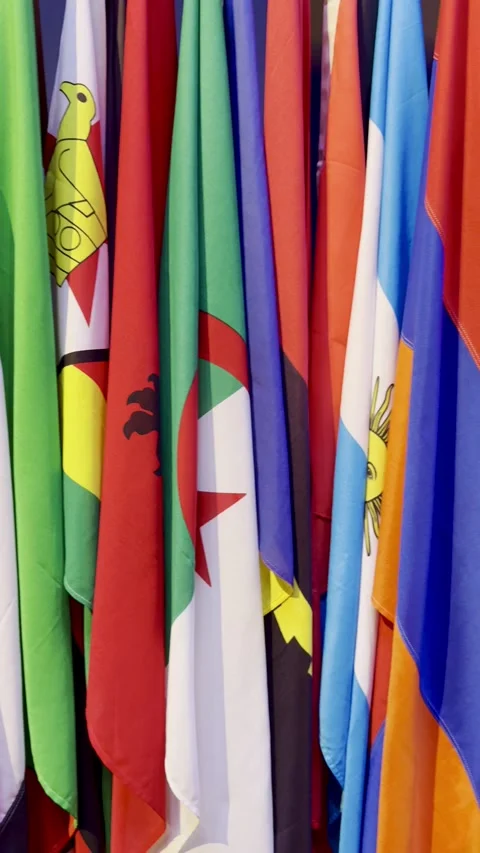 Flags from all nations Stock Footage 306020339