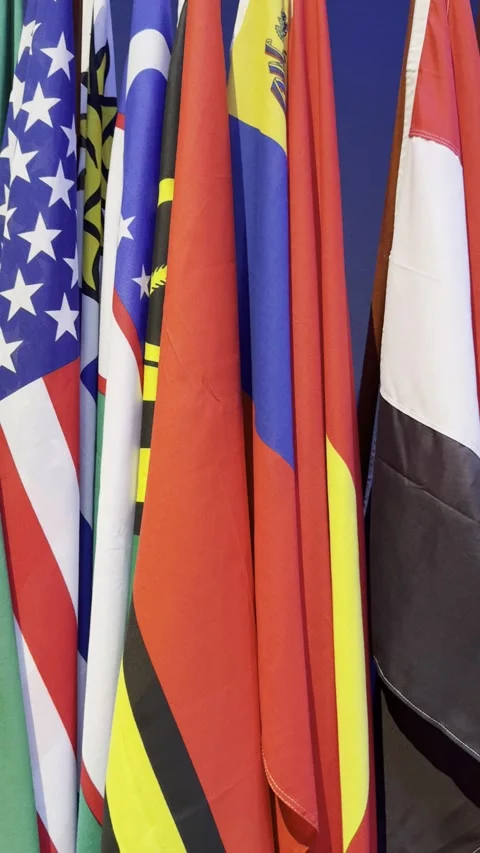 Flags from all nations Stock Footage 317265770