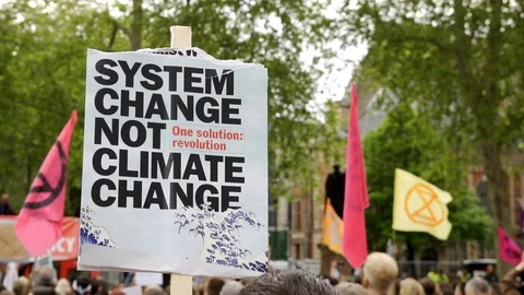 Flags and banners Waving During Extinction Rebellion Global Climate Change Rally Stock Footage 107932587