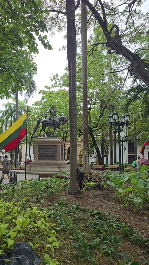 Flags and Horseback Statue Seen Through Park Trees, Cartagena, Colombia Stock Footage 331503641