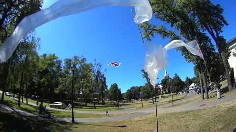 Flags and kites Stock Footage 166468238