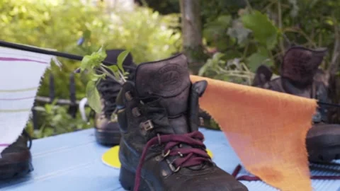 Flags and old boot 1 Stock Footage 229578953