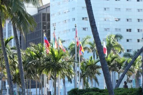 Flags and Palm Trees Stock Photos