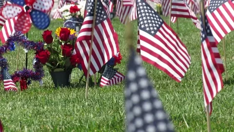 Flags and pinwheel Video stock 154921141