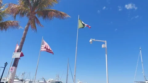 Flags and trees Stock Footage 173581742