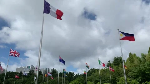 Flags are waving at United Nations Memorial Cemetary. Busan, South Korea Stock Footage 306573435