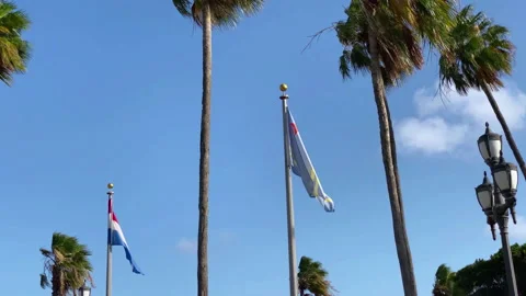 Flags of Aruba and the Netherlands Stock Footage 234737872