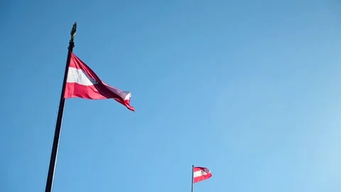 Flags of Austria in front of Parlament. Vidéo 252821330