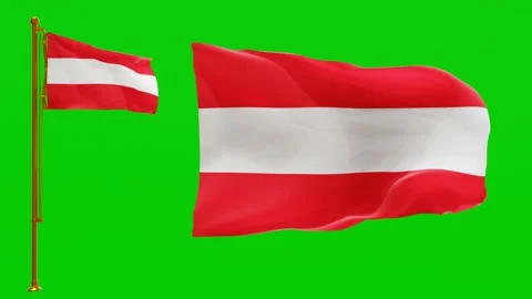 Flags of Austria with Green Screen Chroma Key High Quality 4K UHD 60FPS Video stock 142368311