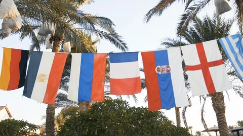 Flags on a background of palm trees in Egypt Stock Footage 129194961