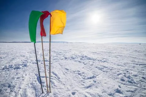 Flags on the background of winter sky Stock Photos