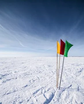 Flags on the background of winter sky Stock Photos