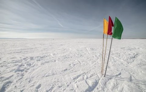 Flags on the background of winter sky Stock Photos