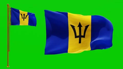 Flags of Barbados with Green Screen Chroma Key High Quality 4K UHD 60FPS Stock Footage 142369147