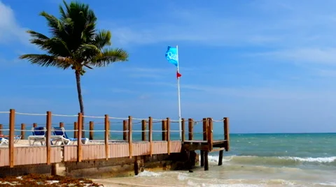 Flags at the beach Stock Footage 45877967