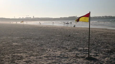 Flags on the beach moved by the wind at sunset. Surf coast landscape. Stock Footage 242759464