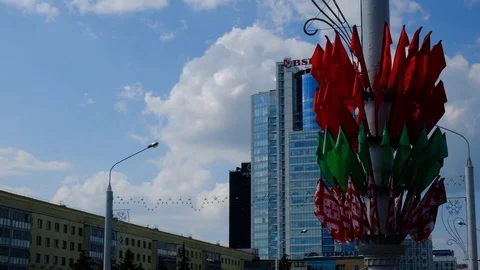 Flags of the Belarusian state are developing in the wind Video stock 107881786