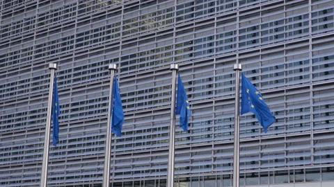 Flags blowing in front of the Berlaymont building Video stock 142727346