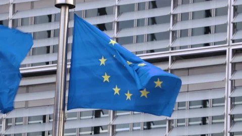 Flags blowing in front of the Berlaymont building 스톡 동영상 142728453