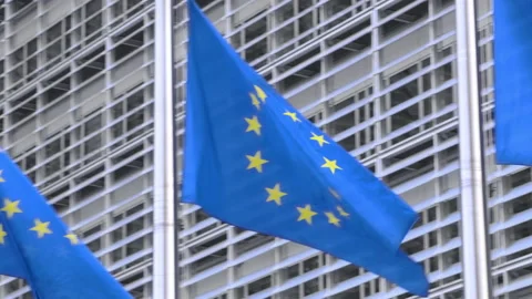 Flags blowing in front of the Berlaymont building Video stock 142729950