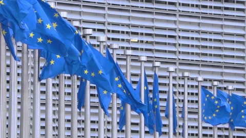 Flags blowing in front of the Berlaymont building Video stock 142730558