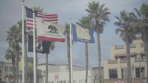 Flags Blowing in the Wind - American Flag - California Republic Stock Footage 74721534