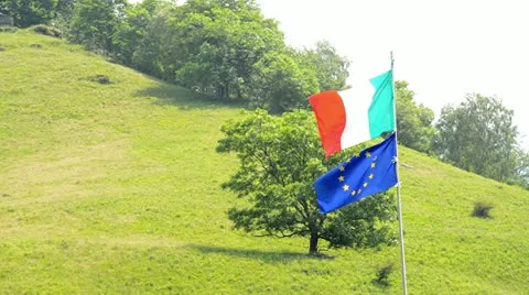 Flags blowing in the wind Vidéo 11408248