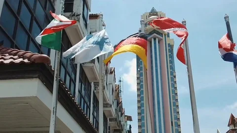 Flags Blowing In The Wind Stock Footage
