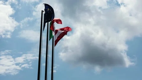 Flags blowing in the wind Stock Footage 139055964
