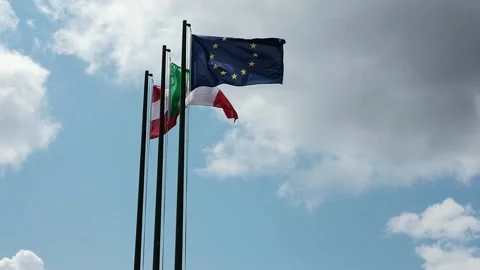 Flags blowing in the wind Stock Footage 139055970