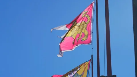 Flags on Budapest castle hill. Stock Footage 129079109
