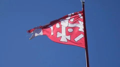 Flags on Budapest castle hill. Video stock 129079128