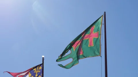 Flags on Budapest castle hill. Stock Footage 129079235