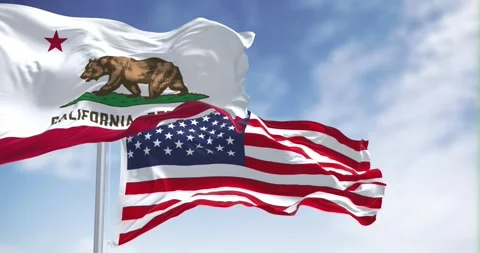 Flags of California and the US waving in the wind on a clear day Stock Footage 244877100