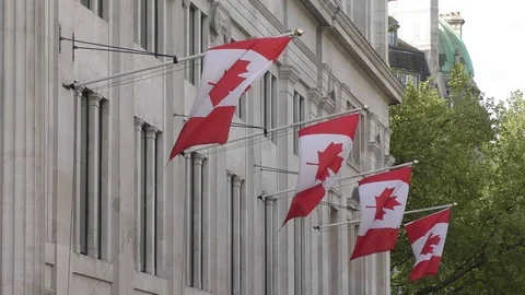 Flags of Canada. Stock Footage 74899991