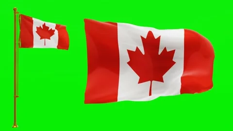 Flags of Canada with Green Screen Chroma Key High Quality 4K UHD 60FPS Video stock 142638274