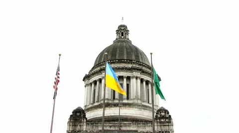 Flags on capital building Stock Footage 8690721