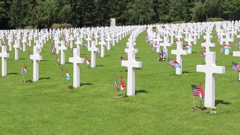 Flags at Cemetery Video stock 147864973