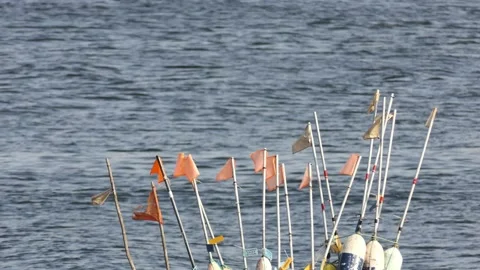 Flags on chopsticks against the background of sea waves. Stock Footage 155684648