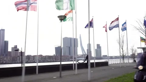 Flags in a city bridge Rotterdam Stock Footage 149769161